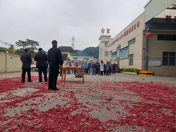 臺富立式注塑機廠家開工大吉